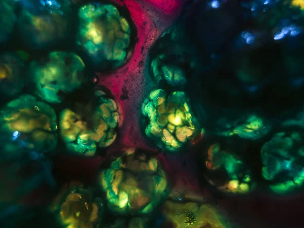 Gliserin ve su ile deneyler