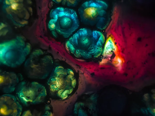 Gliserin ve su ile deneyler