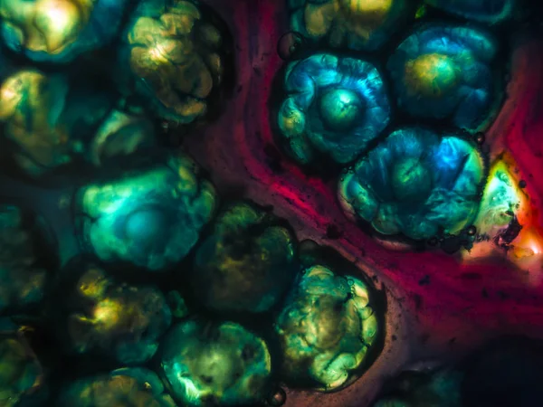 Gliserin ve su ile deneyler