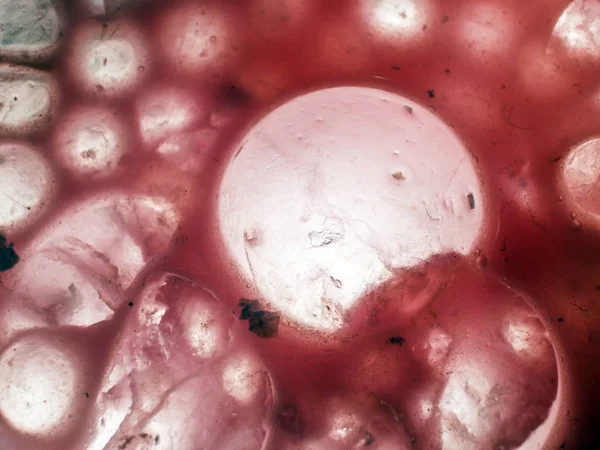 Gliserin ve su ile deneyler