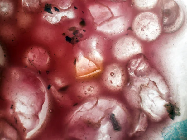 Gliserin ve su ile deneyler