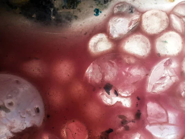 Gliserin ve su ile deneyler