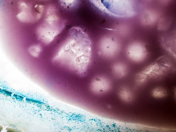 Gliserin ve su ile deneyler