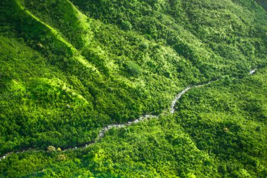 Kauai ada Hawaii güzel doğa manzara. Helikopter, uçak, top görünümü. Orman. Dağları. Okyanus. Manzaralı. Drone