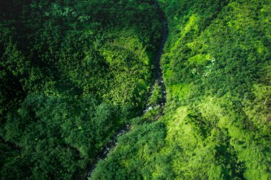Kauai ada Hawaii güzel doğa manzara. Helikopter, uçak, top görünümü. Orman. Dağları. Okyanus. Manzaralı. Drone