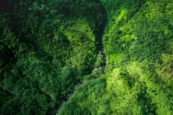 Kauai ada Hawaii güzel doğa manzara. Helikopter, uçak, top görünümü. Orman. Dağları. Okyanus. Manzaralı. Drone