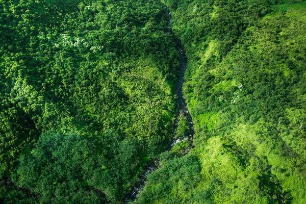 Kauai ada Hawaii güzel doğa manzara. Helikopter, uçak, top görünümü. Orman. Dağları. Okyanus. Manzaralı. Drone