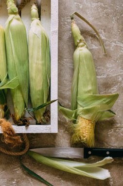 masada çiğ mısır