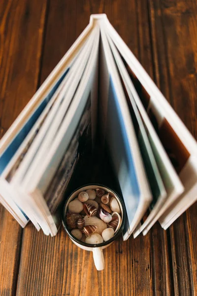 Koleksiyon deniz kabuğu dikey görüntü