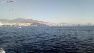 Güneşli bir gün boyunca güzel bir cityscape Izmir deniz üzerinde bir feribot tekne onboard gelen insanlarla Martılar - Video besleme