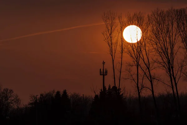 Coucher Soleil Avec Des Arbres Noirs Dans Ciel Photo — Photo