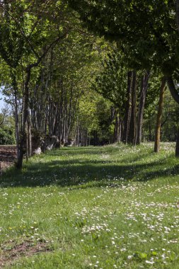 Alanları ile sessiz yol - fotoğraf