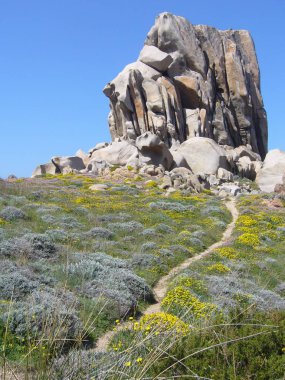 Granit kayalar Akdeniz bitki örtüsü ile Capo Testa, Santa Teresa Gallura, İtalya