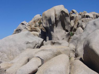 Granit kayalar Akdeniz bitki örtüsü ile Capo Testa, Santa Teresa Gallura, İtalya