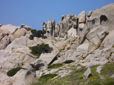 Granit kayalar ile Akdeniz bitki örtüsü, ay'nın vadi, Capo Testa, Santa Teresa Gallura, İtalya