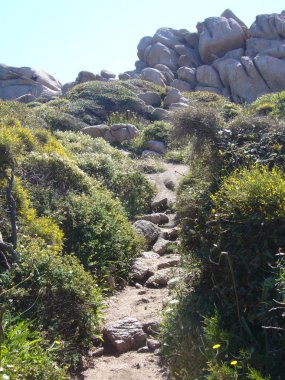 Granit kayalar ile Akdeniz bitki örtüsü, ay'nın vadi, Capo Testa, Santa Teresa Gallura, İtalya