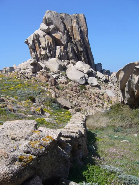 カポテスター サンタ テレーザ ガッルーラ イタリア地中海植生と花崗岩します — ストック写真