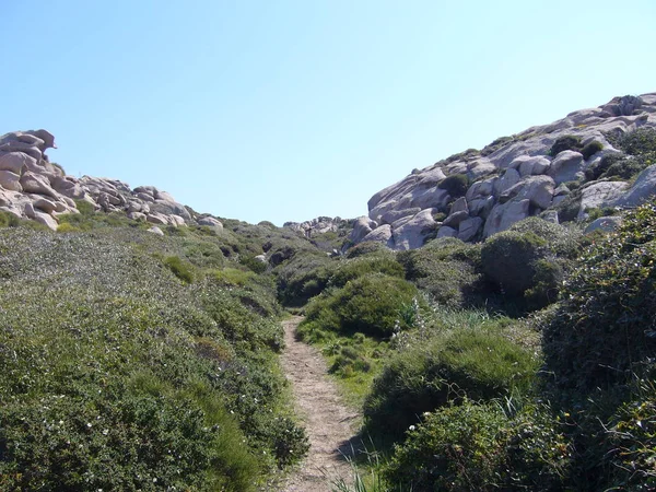 Granito Con Vegetación Mediterránea Capo Testa Santa Teresa Gallura Italia — Foto de Stock