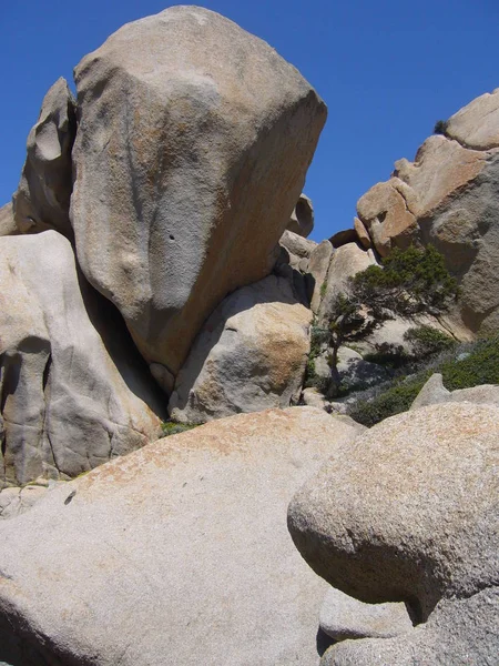 Granitfelsen Mit Mediterraner Vegetation Capo Testa Santa Teresa Gallura Italien — Stockfoto