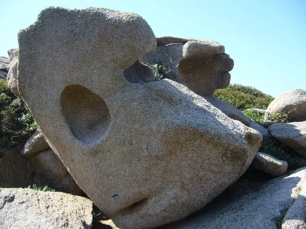 Granitfelsen Mit Mediterraner Vegetation Capo Testa Santa Teresa Gallura Italien — Stockfoto