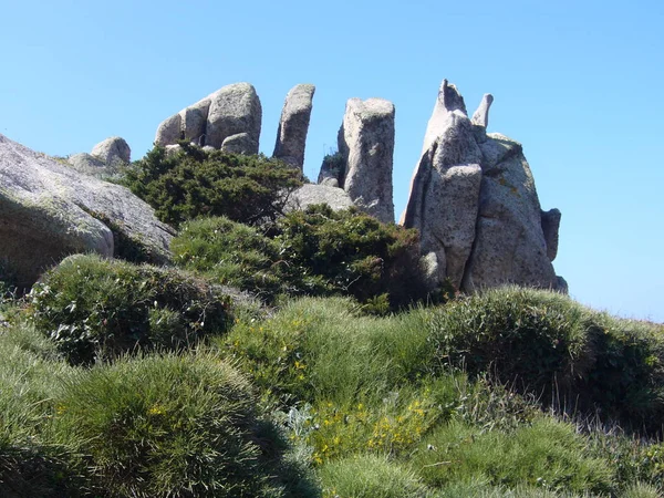 Granieten Rotsen Met Mediterrane Vegetatie Capo Testa Santa Teresa Gallura — Stockfoto