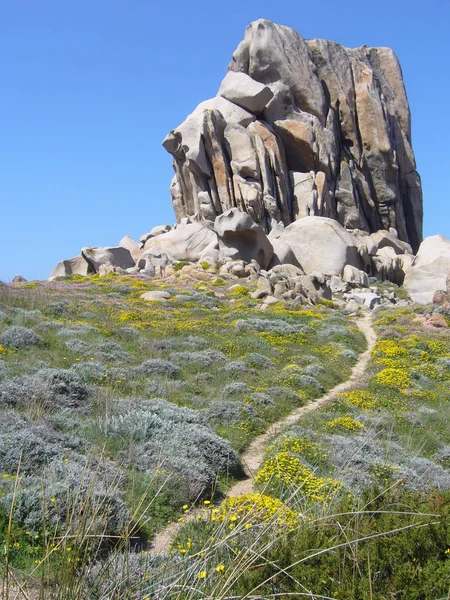 カポテスター サンタ テレーザ ガッルーラ イタリア地中海植生と花崗岩します — ストック写真