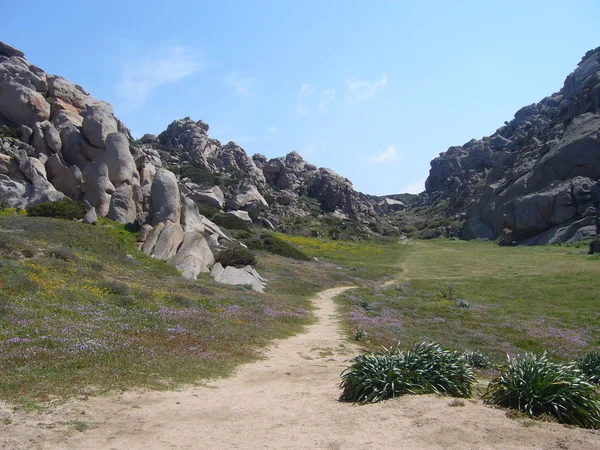 地中海の植物と花崗岩の岩月の谷 テスター サンタ テレサ ガッルーラ イタリア — ストック写真