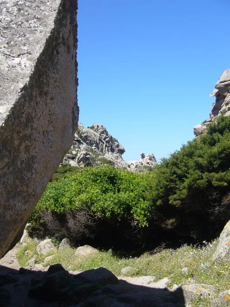 Rocas Granito Con Vegetación Mediterránea Valle Luna Capo Testa Santa — Foto de Stock