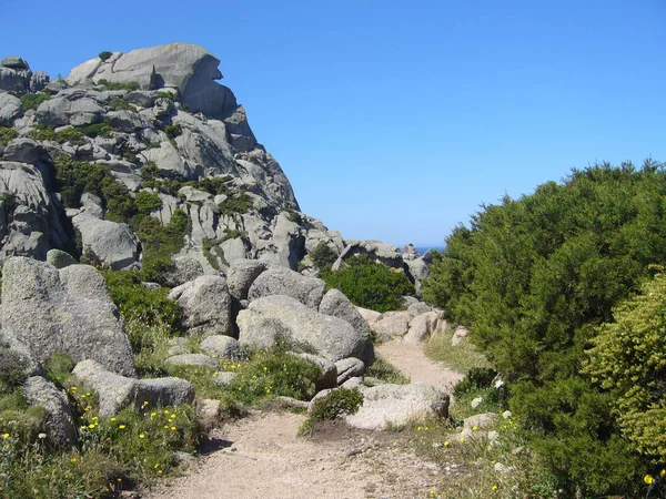 Rocas Granito Con Vegetación Mediterránea Valle Luna Capo Testa Santa — Foto de Stock