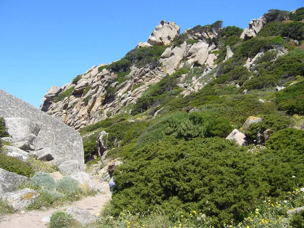 Rocas Granito Con Vegetación Mediterránea Valle Luna Capo Testa Santa — Foto de Stock