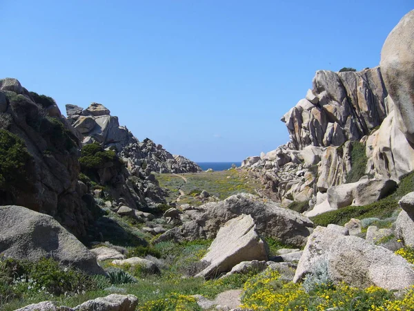 青い空と海 地中海の植物と花崗岩の岩月バレー ヴァッレ カポテスター サンタ テレーザ ガッルーラ イタリア — ストック写真