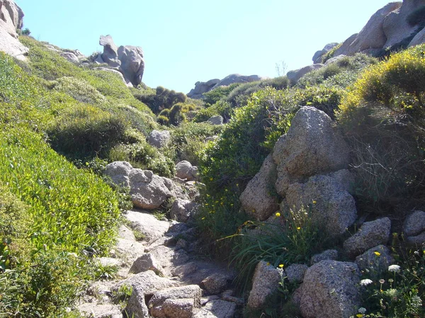 Granito Con Vegetación Mediterránea Valle Luna Capo Testa Santa Teresa — Foto de Stock