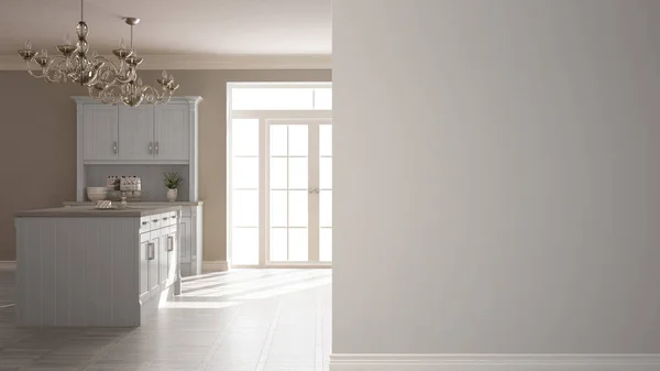 Cozinha Clássica Uma Parede Primeiro Plano Conceito Arquitetura Design Interiores — Fotografia de Stock