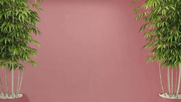 Interno Colore Rosa Vuoto Con Bambù Vaso Concetto Interior Design — Foto Stock