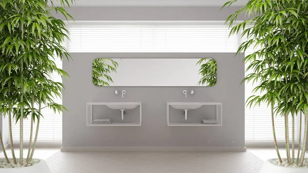 Zen interior with potted bamboo plant, natural interior design concept, scandinavian bathroom, white minimalistic architecture