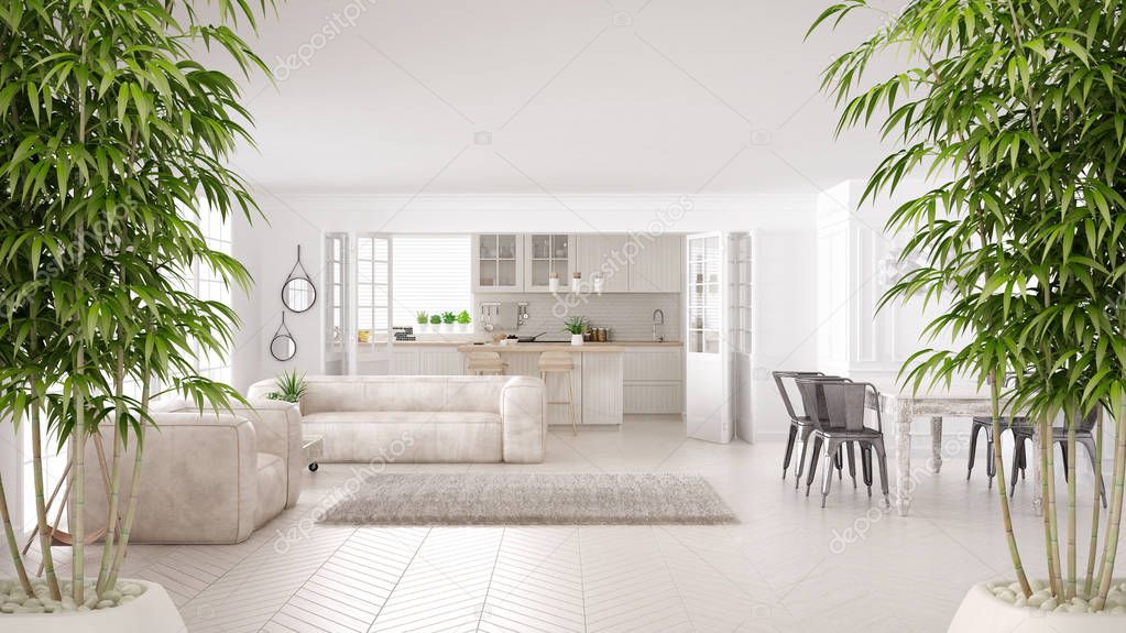Zen interior with potted bamboo plant, natural interior design concept, minimalist white living and kitchen, scandinavian classic architecture