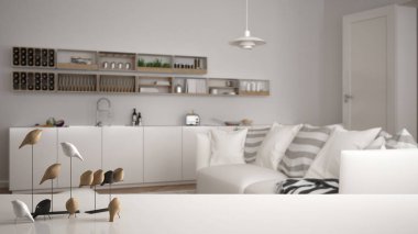 Masa üstü veya raf minimalist kuş süsleme ile beyaz, ıvır - ustalık bulanık çağdaş oturma odası, mutfak, modern iç mekan tasarımları üzerinde kuş