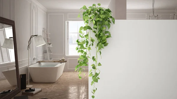Green interior design concept background with copy space, foreground white wall with potted plant, classic bright bathroom