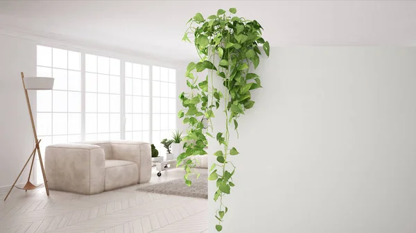 Fondo Concepto Diseño Interior Verde Con Espacio Copia Pared Blanca — Foto de Stock