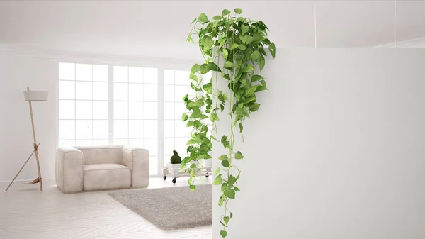 Fondo Concepto Diseño Interior Verde Con Espacio Copia Pared Blanca — Foto de Stock