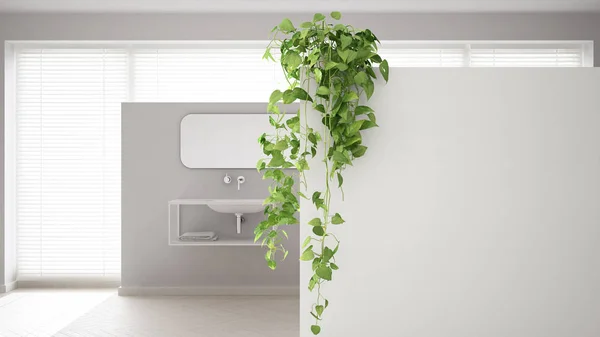 Green interior design concept background with copy space, foreground white wall with potted plant, minimalistic bright bathroom