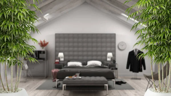 Eco green house interior with potted bamboo plant, natural interior design concept, contemporary gray bedroom in luxury attic, bed and carpet, classic