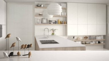 Masa üstü veya raf minimalist kuş süsleme ile beyaz, ıvır - ustalık bulanık beyaz ve ahşap mutfak dolapları ile üzerinde kuş, ada ile gaz sobası, modern iç mekan tasarımları