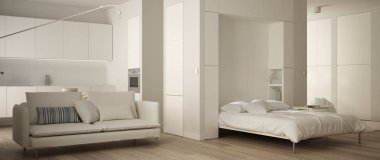 Panoramik manzaralı bir oda daire Murphy duvar yatağı, mutfak, oturma odası kanepe. Parke zemin ve minimalist beyaz iç tasarım, modern mimari konsept fikir