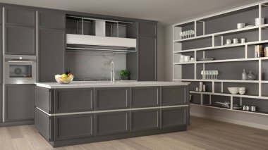 Klasik gri mutfak parke zemin ve büyük ile dekorlar, ada ve aksesuarları, minimalist çağdaş iç tasarım raf ile modern açık alanda