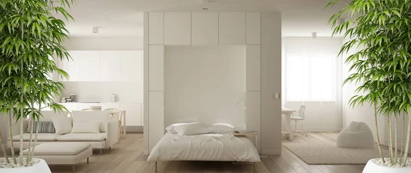 Zen iç döşeme, saksı bambu bitkisi, doğal iç tasarım konsepti, bir oda daire, parke ve masa ile küçük mutfak ve kanepe murphy yatak, modern mimari konsepti