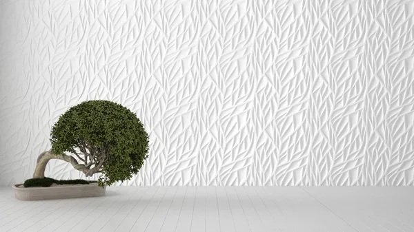 Tomt rum inredning, vit dekorerad gjuten panel, trä blankt golv och kruk växt, modern arkitektur bakgrund med kopia utrymme, Zen mall utkast idé — Stockfoto