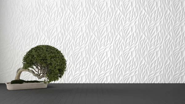 Pusty wystrój wnętrz, biały ozdobiony formowany panel, drewniana podłoga szara i doniczkowa roślina, nowoczesna architektura tło z kopią przestrzeni, Zen szablon makieta pomysł — Zdjęcie stockowe