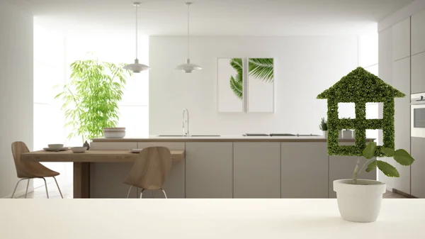 Plateau blanc ou étagère avec plante verte en pot en forme de maison, cuisine floue moderne en arrière-plan, design d'intérieur, immobilier, idée de concept d'architecture écologique — Photo