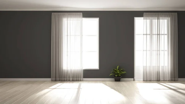 Stylish empty room with panoramic windows, parquet wooden floor, classic shutters, potted plants and decors. Gray background with copy space, interior design concept idea — Stock Photo, Image